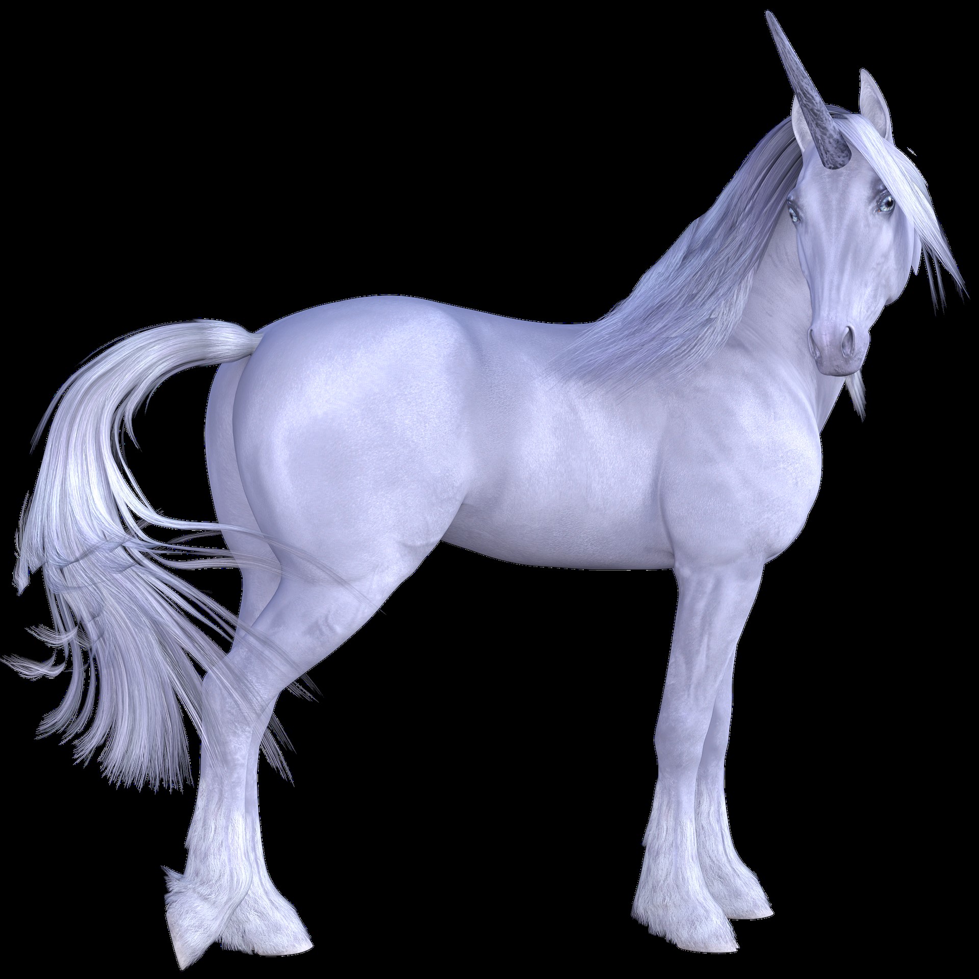 Premium White Unicorn